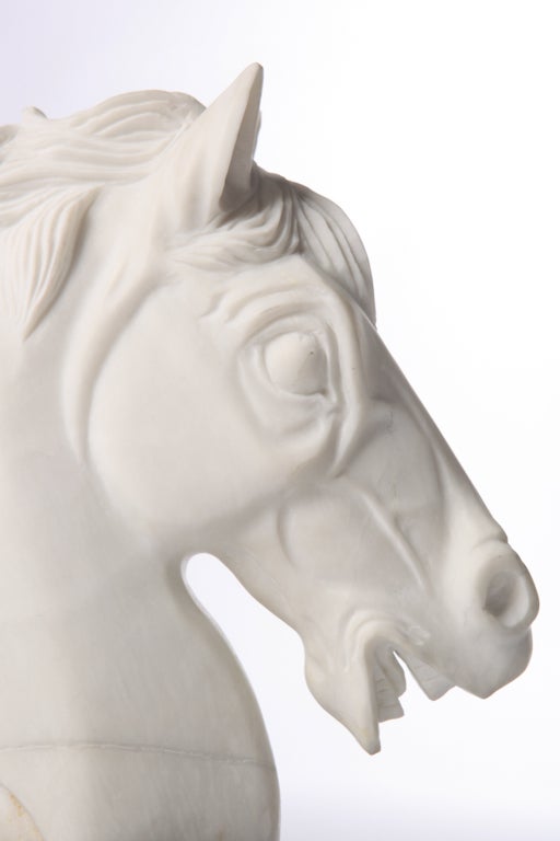 20th Century Italian Marble Horse Head Sculpture