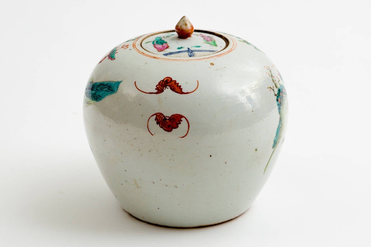 Painted Antique 19th Century Chinese Famille Rose Covered Ginger Jar