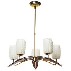 Austrian 1960s Teak Petal and Brass Chandelier