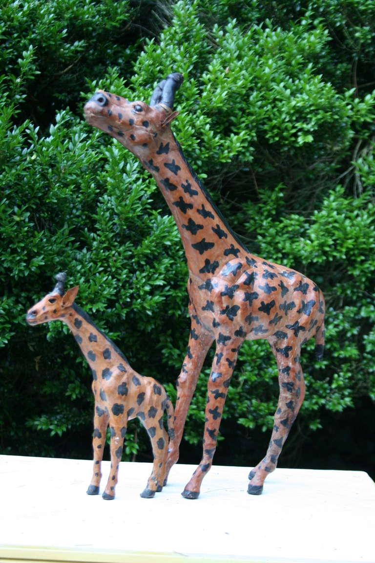A vintage pair -  adult and baby giraffe, leather clad and hand painted, very nice detail throughout. 
Tall giraffe measures 18.5