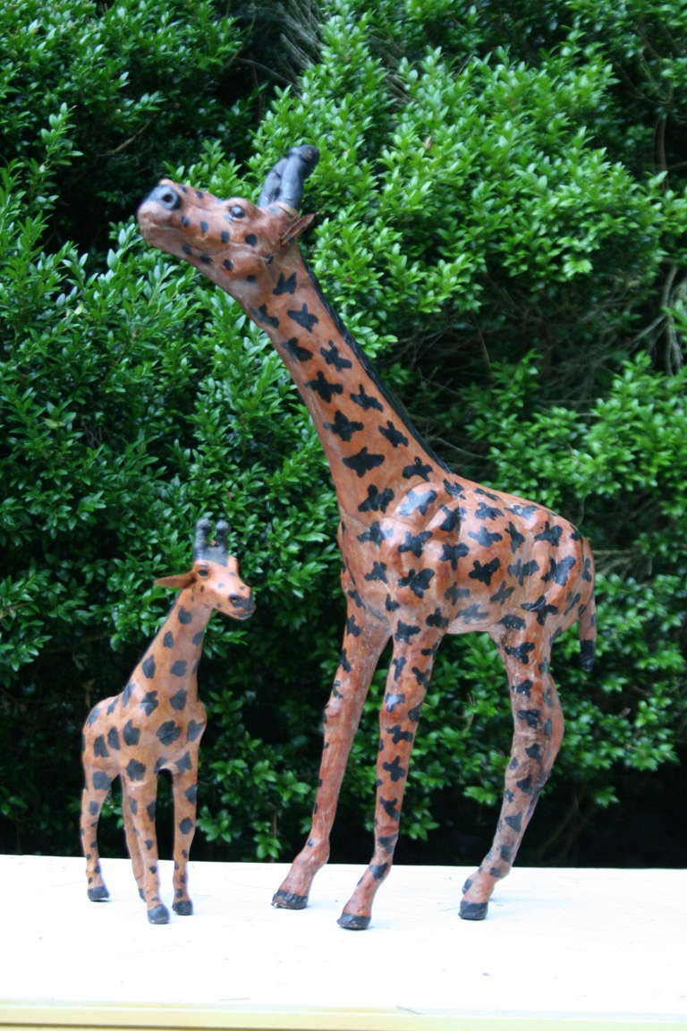 Vintage Leather-Clad Giraffe Family 3