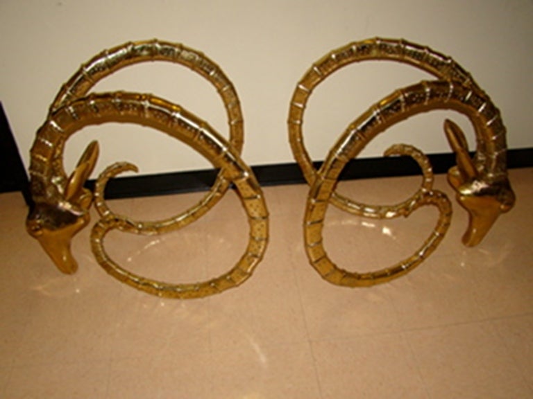 ibex gazelle