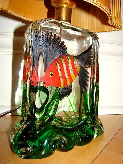 fish lamp aquarium