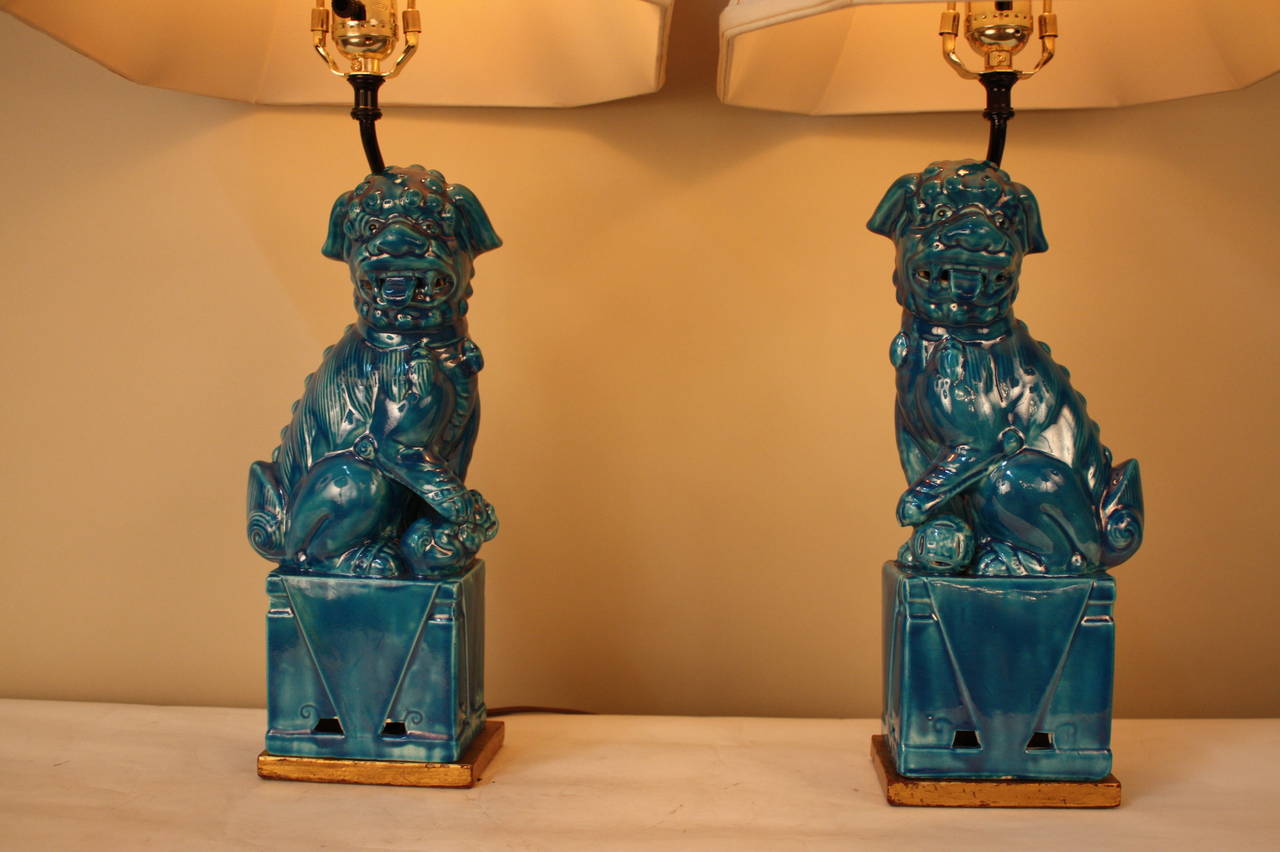Fantastic pair lamps, torques color foo dog or Chinese guardian lions with gold leaf base lamps.