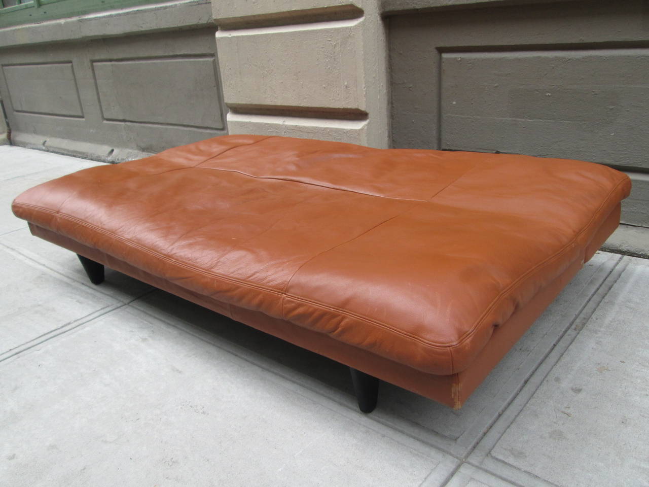 Leather Convertible Sofa by De Sede.  The back slides down to convert into a comfortable bed. 