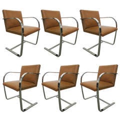 6 Chaises BRNO Ludwig Mies van der Rohe pour Knoll