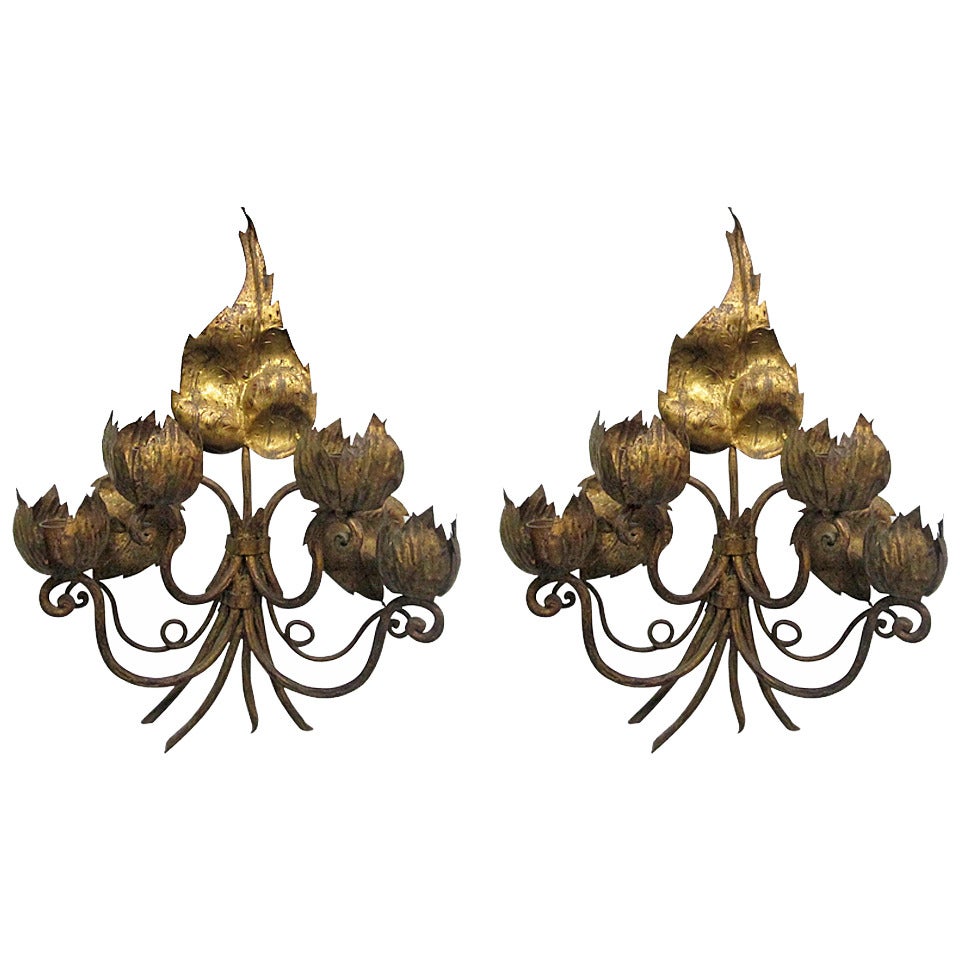 Pair of Italian Oversized Gilt Floral Sconces For Sale