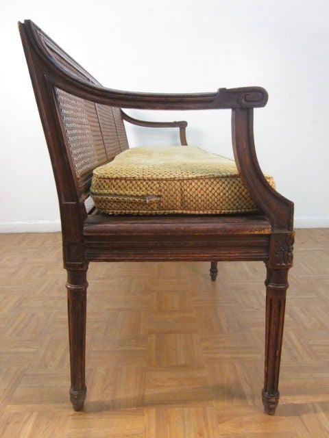 Louis XIV Style Caned Bench In Good Condition In New York, NY