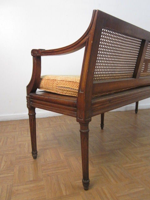 Louis XIV Style Caned Bench 2