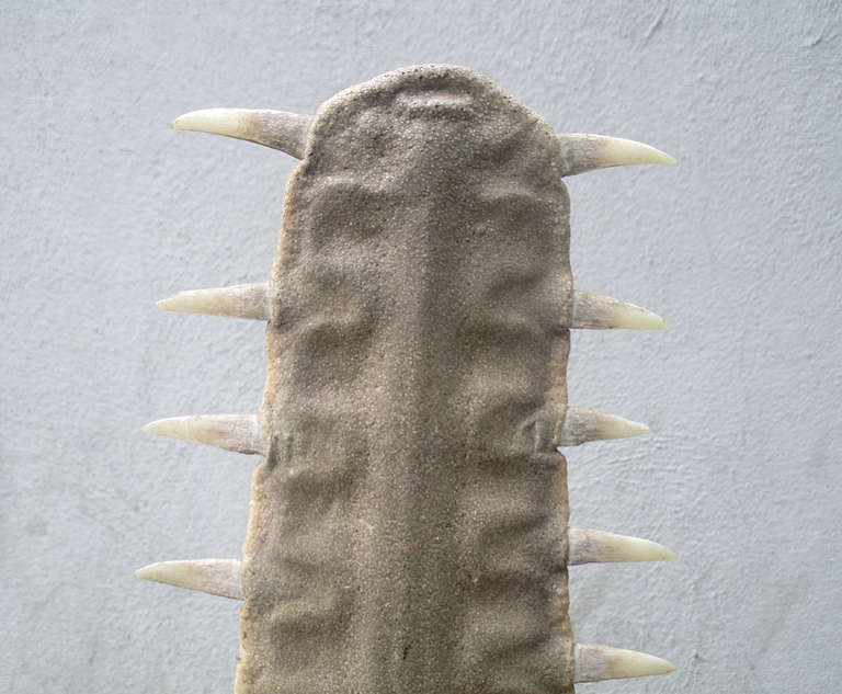 Large Sawfish Bill On Wooden Mount Sculpture In Good Condition In 0, Cuauhtemoc