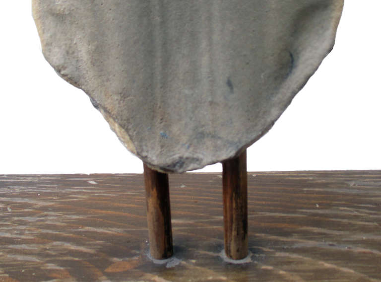 Late 20th Century Large Sawfish Bill On Wooden Mount Sculpture