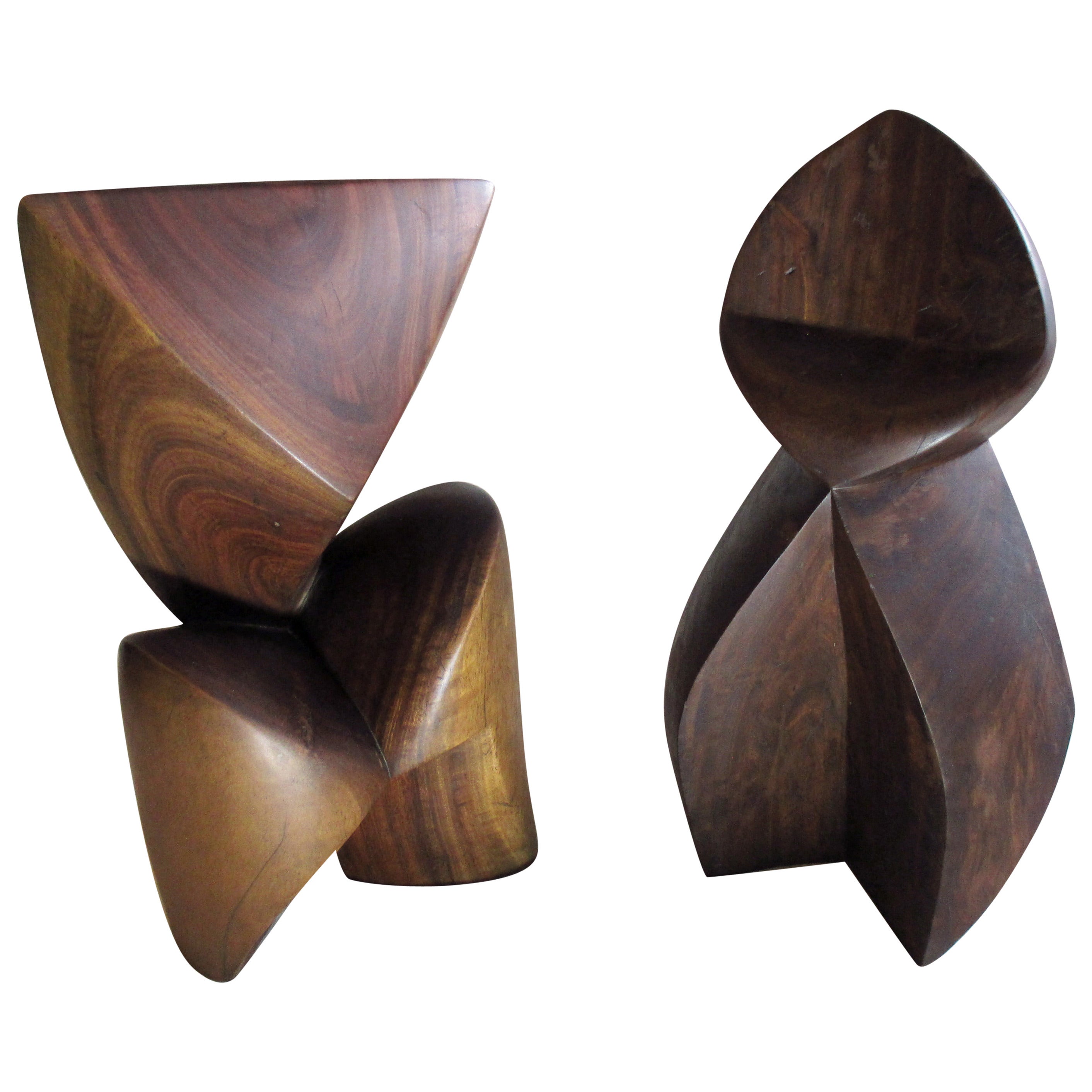 Abstract Tropical Wood Sculptures by Unknown Artist