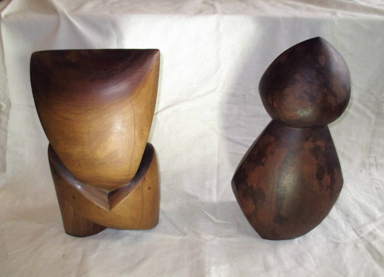 Mexican Abstract Tropical Wood Sculptures by Unknown Artist