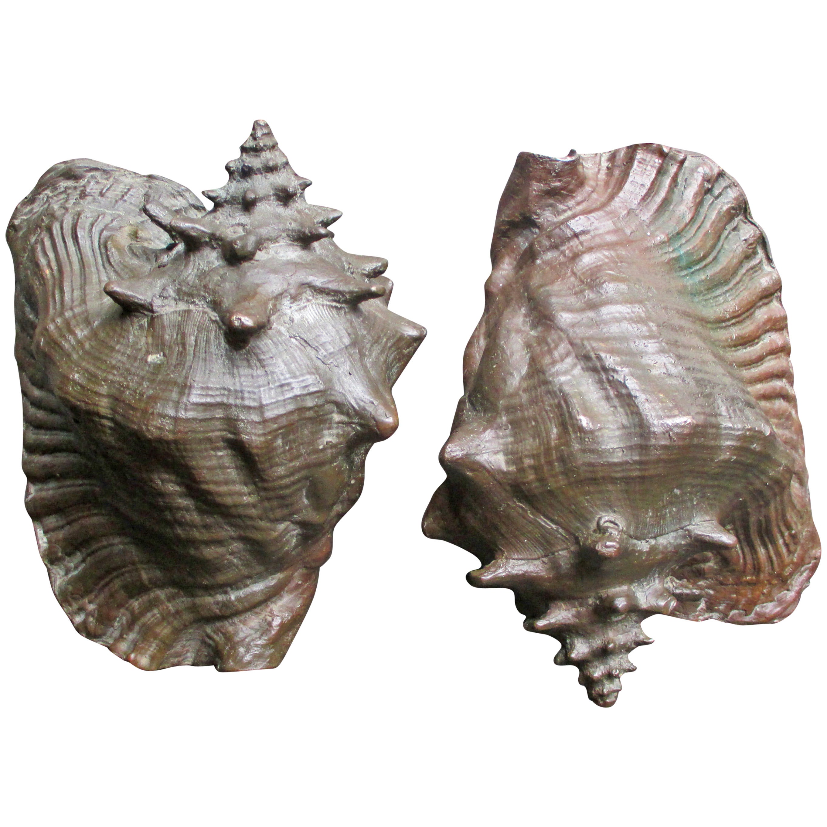 Pair of Shell Bronze Bookends After Arturo Pani