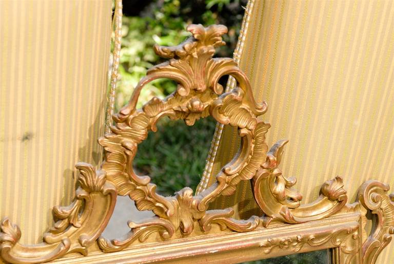 Gesso Italian Hand-Carved Rococo Gilt Mirror