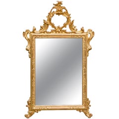 Italian Hand-Carved Rococo Gilt Mirror
