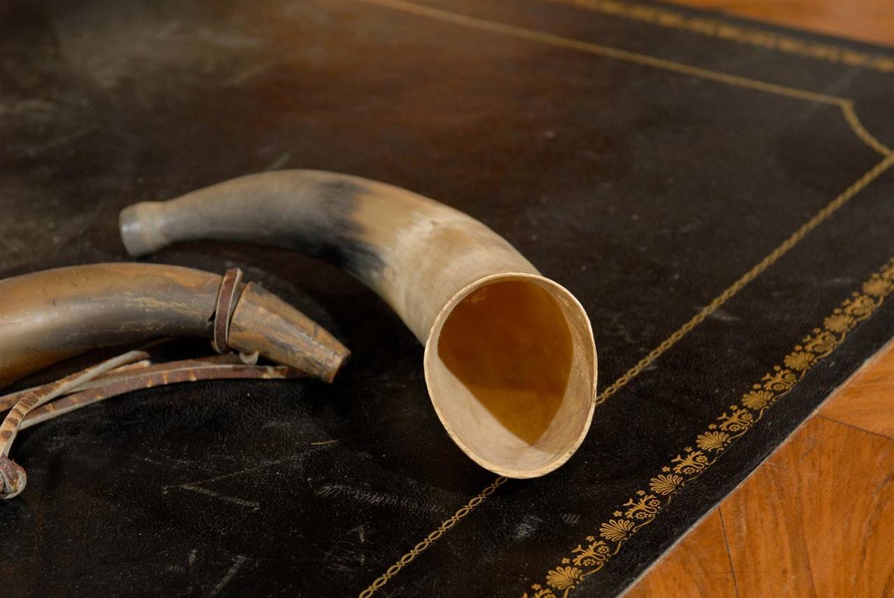19th Century A Black Powder Horn and a Fox Horn