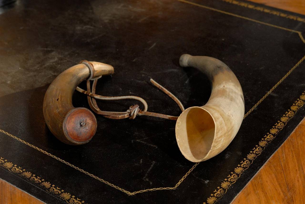 A Black Powder Horn and a Fox Horn 3