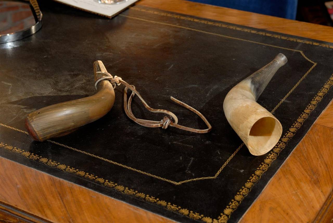 A Black Powder Horn and a Fox Horn 2