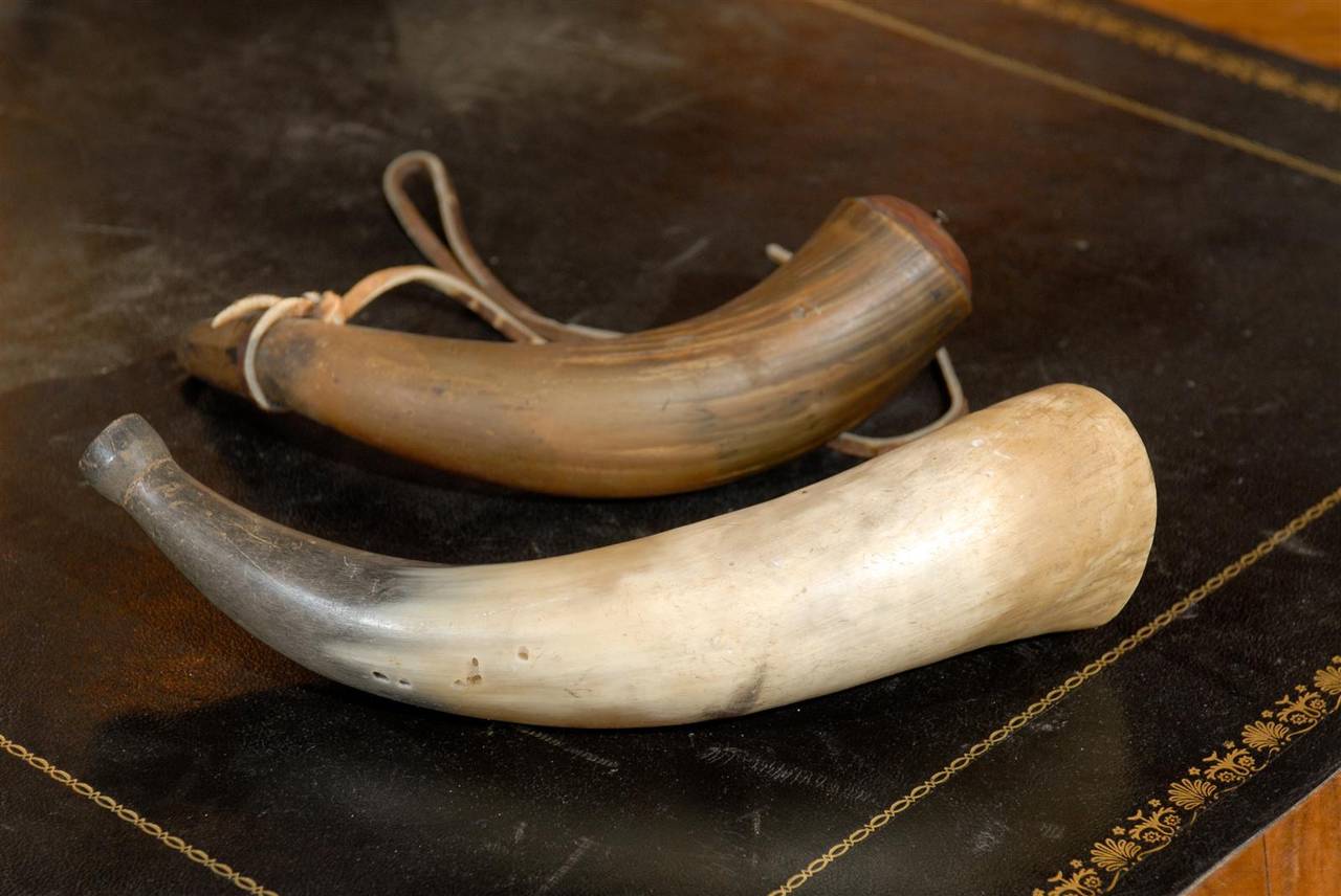 A Black Powder Horn and a Fox Horn In Good Condition In Atlanta, GA