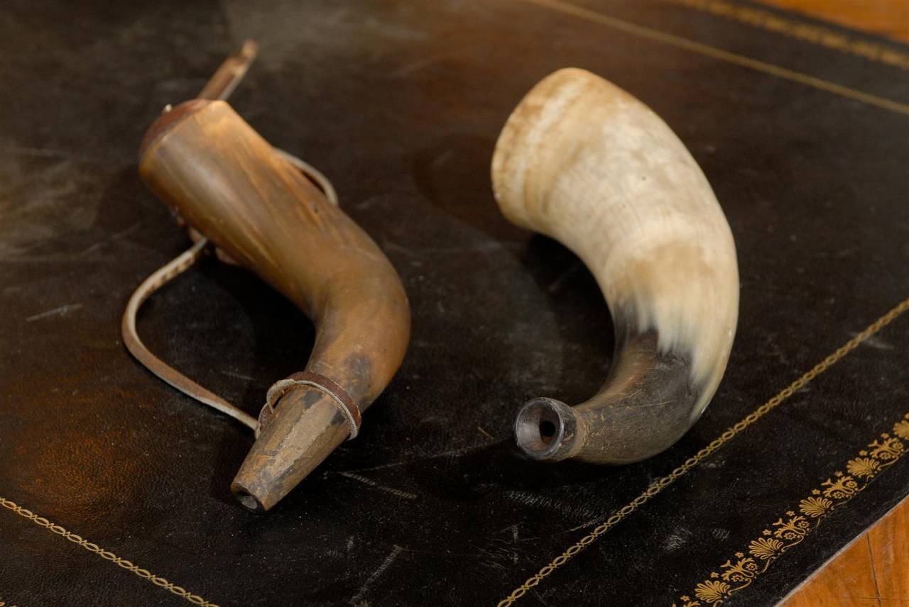 A Black Powder Horn and a Fox Horn 1
