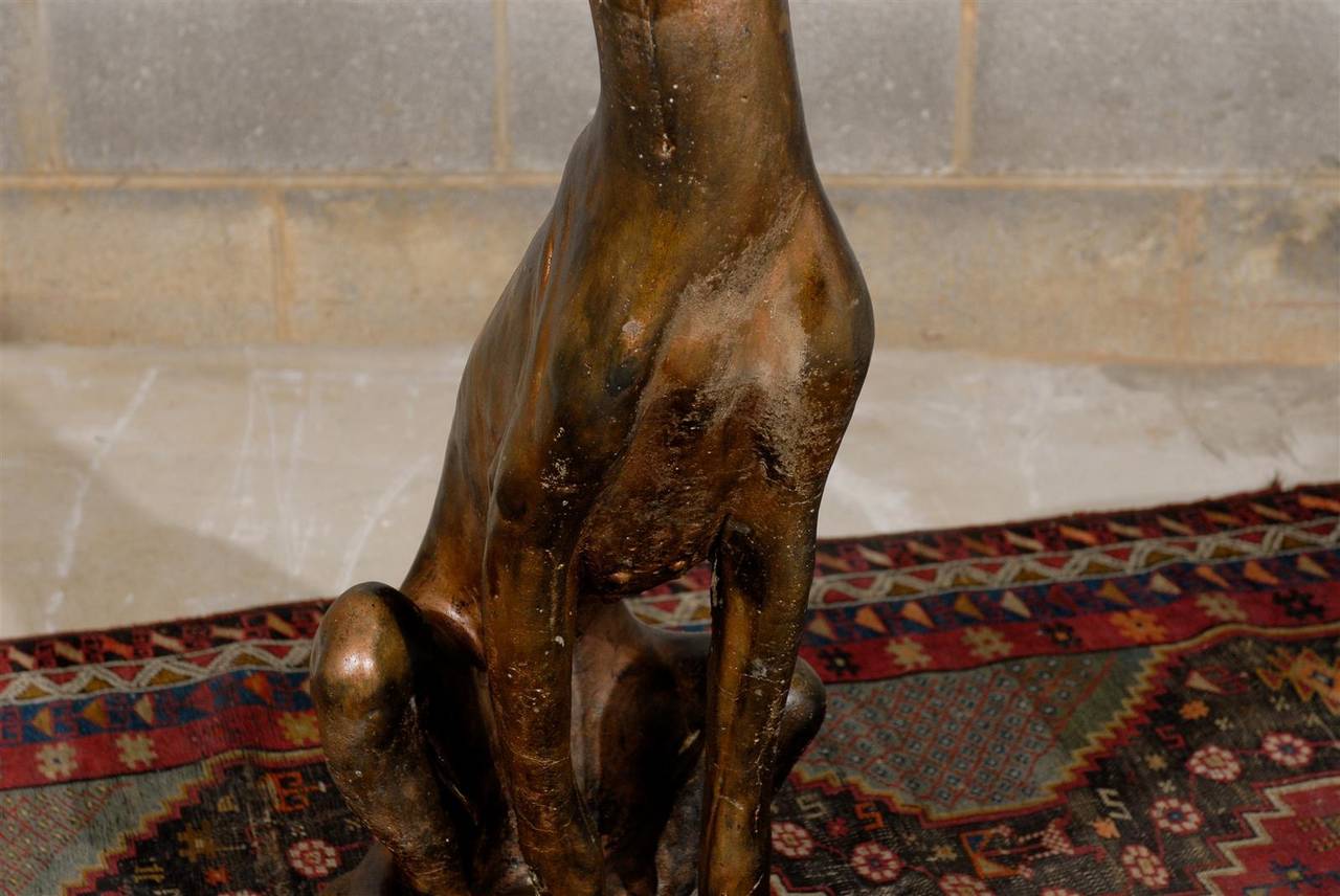 Italian Whippet Dog Statue in a Bronze Finish