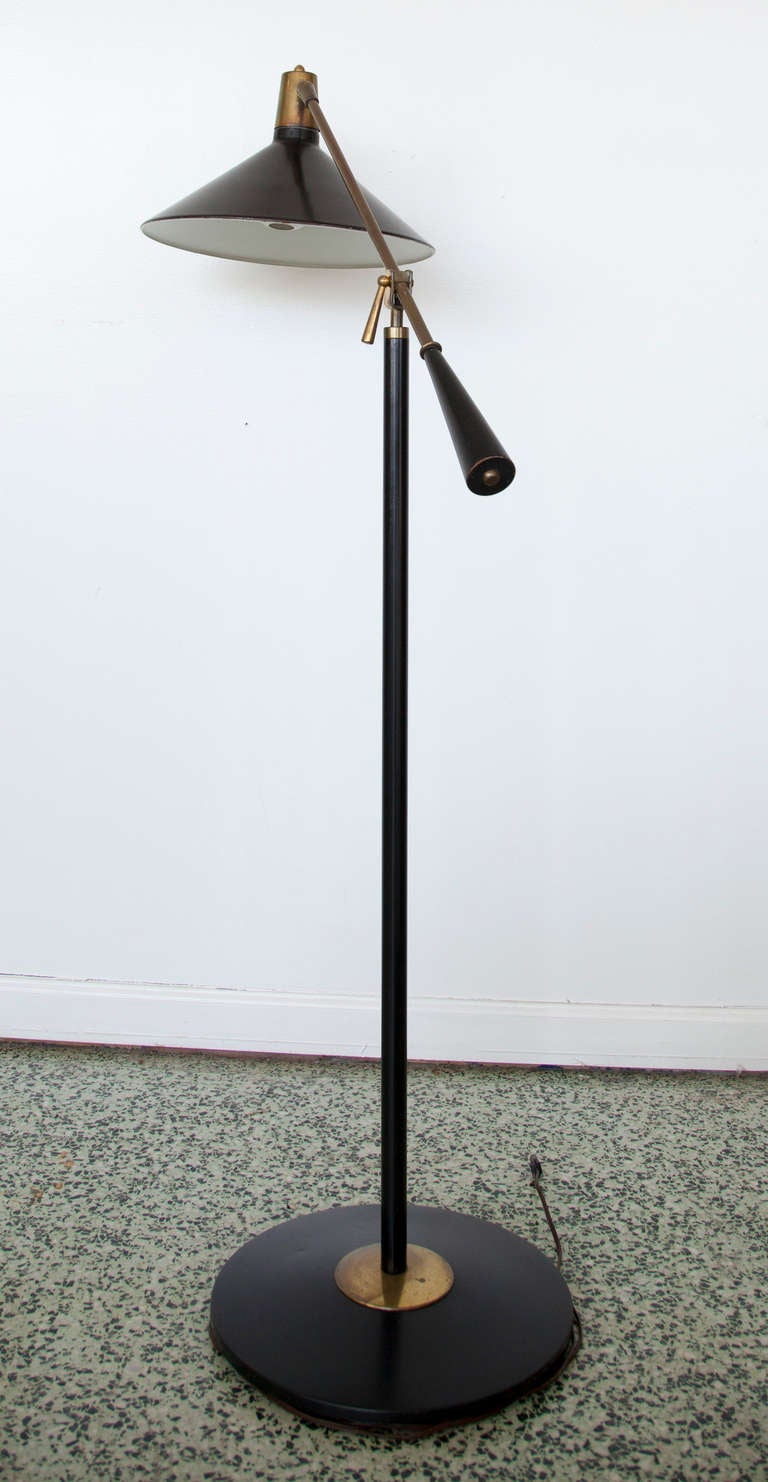 2 arm floor lamp