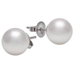 Tiffany & Co. Signature Akoya Pearl Stud Earrings