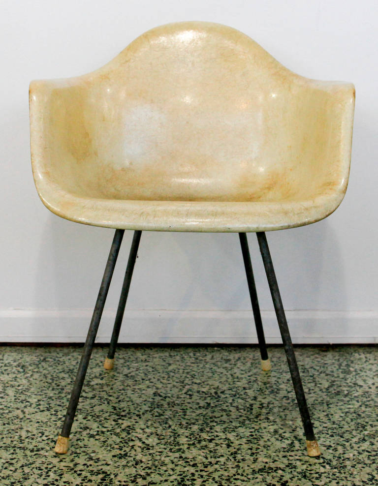 eames parchment