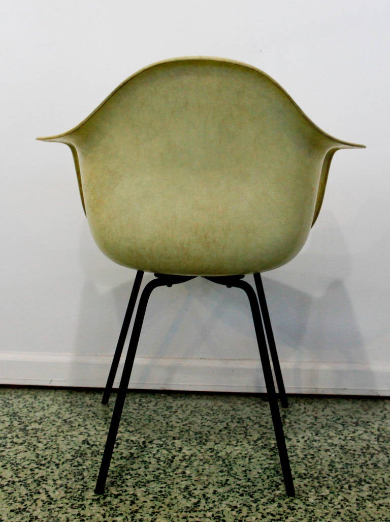 Set of Parchment White Original Zenith Rope-Edge Eames Chairs for Herman Miller 1