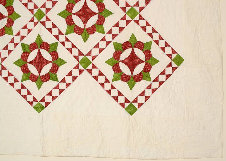 Cotton Caesar's Crown Quilt