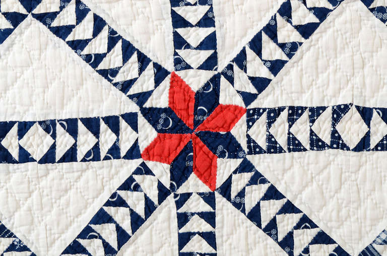 Wild Goose Chase Quilt 2