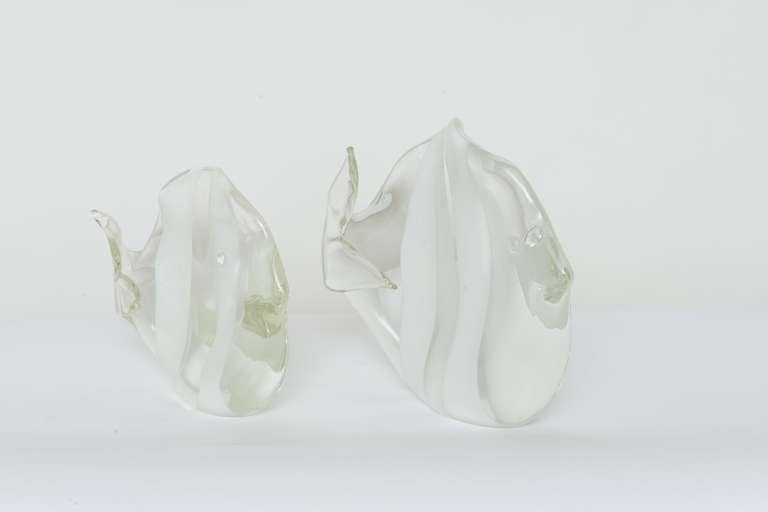 Pair of hand blown Murano glass fish sculptures in clear and white striped glass. The tails are turned inward during the blowing process creating the wonderful unique effect.
Both have inscribed signature on the bottom.
Small Fish measures: H: 7.5