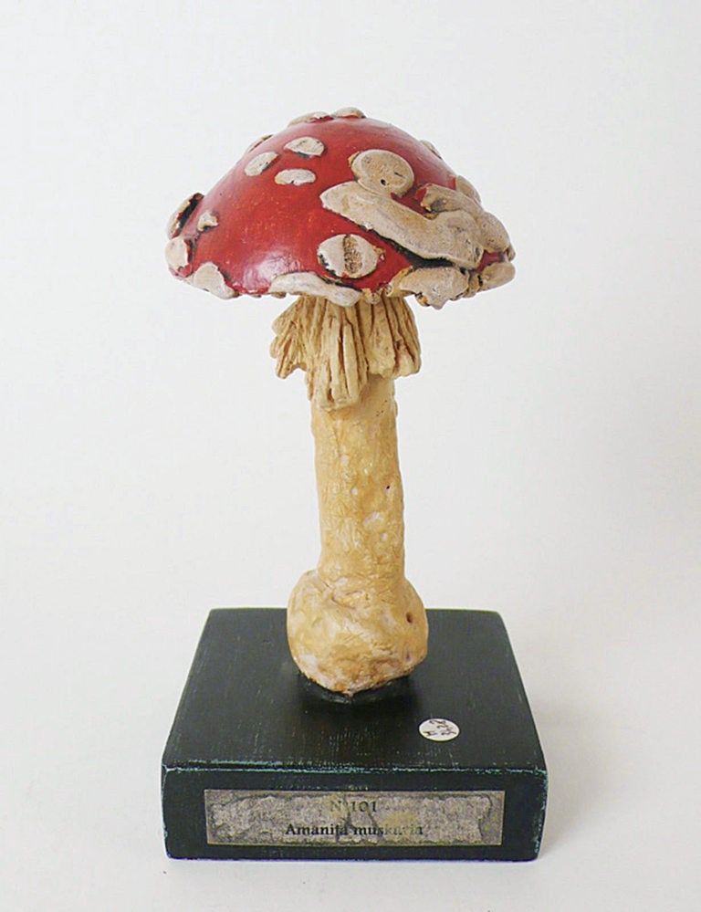 A Rare Group Of Continental Scientific Models Of Mushrooms.  2