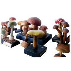 A Rare Group Of Continental Scientific Models Of Mushrooms. 