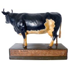 Rare German Anatomic Model of a Frisona Cow