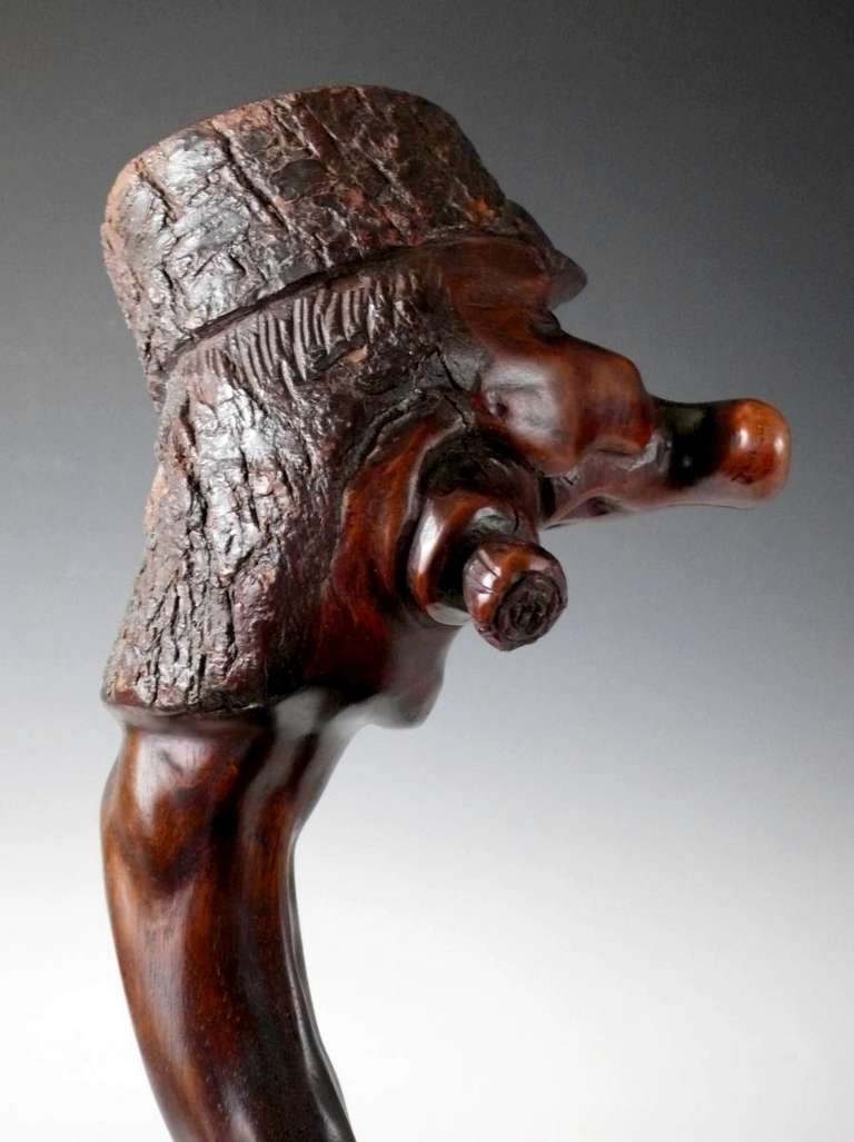 19th Century A Carved And Stained Wood Walking Stick.