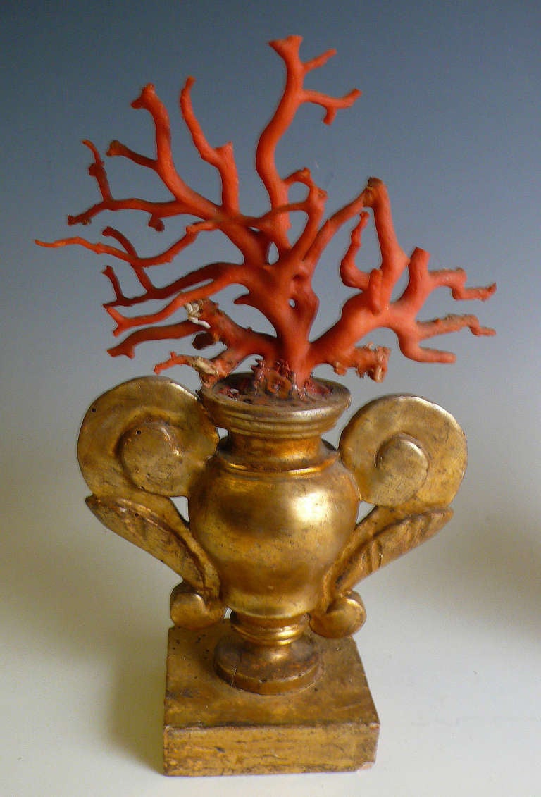 19th Century Rare Pair Of Coral Branches. 