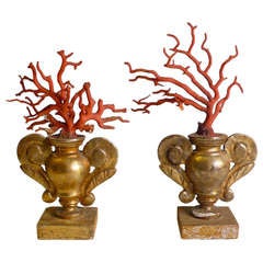Rare Pair Of Coral Branches. 
