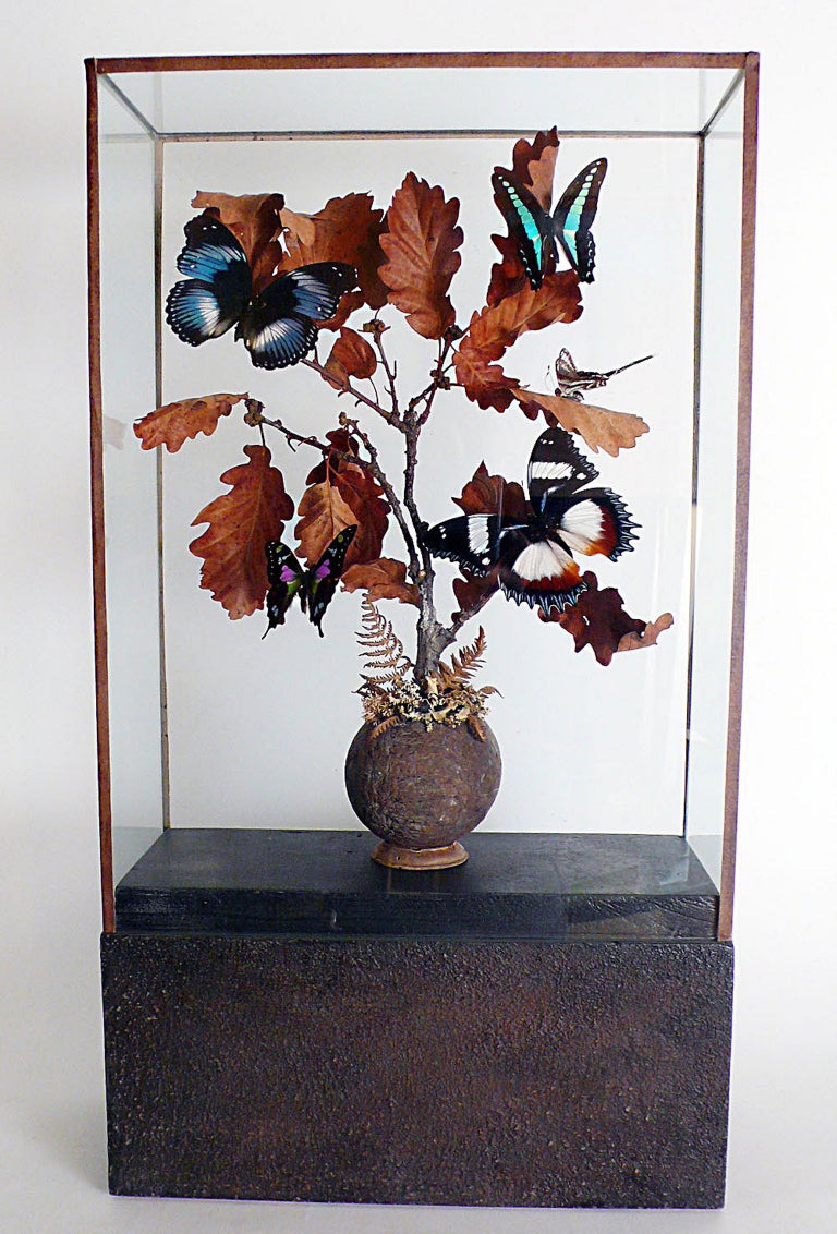 A natural diorama with butterflies leaned over oak tree branches.