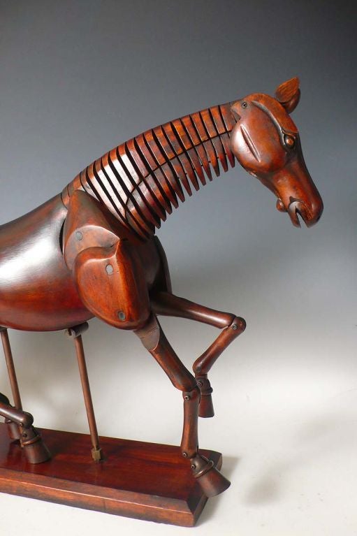 horse collection dummy