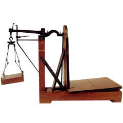 A Seed Scale Model
