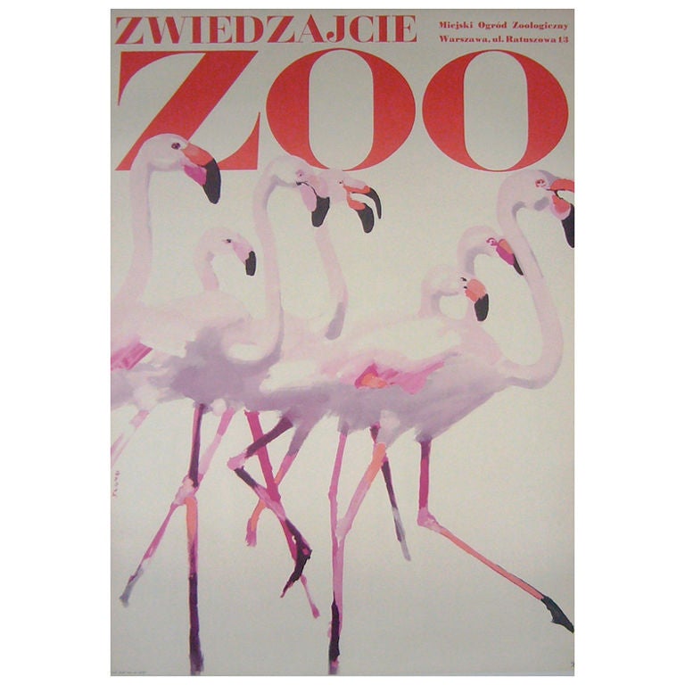 Zwiedzajcie Zoo - Pink Flamingos, Swierzy