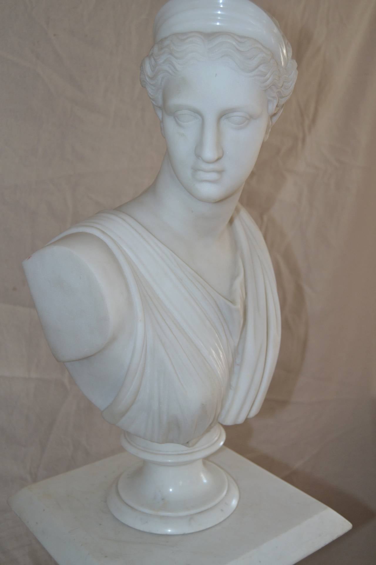 Grand Tour Marble Bust of Diana on Pedestal 3