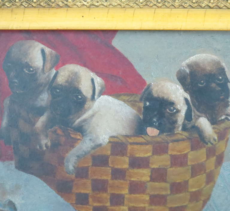 American 19th Century Painting of Pugs For Sale
