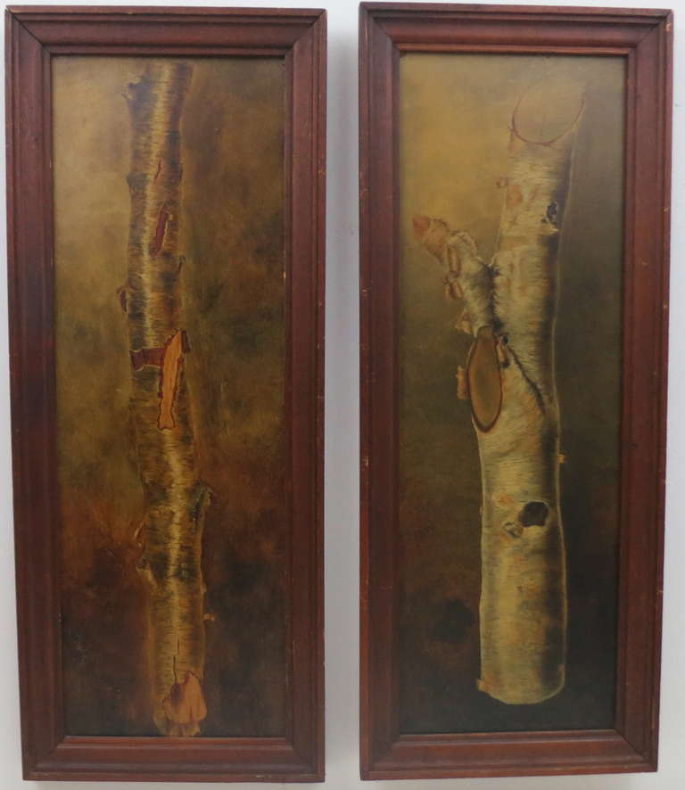 Very nice pair of oil studies of birch branches, one a silver birch and the other a yellow birch. identified on verso as being by Anne Louise Barton circa 1880. on artist board with pine frames