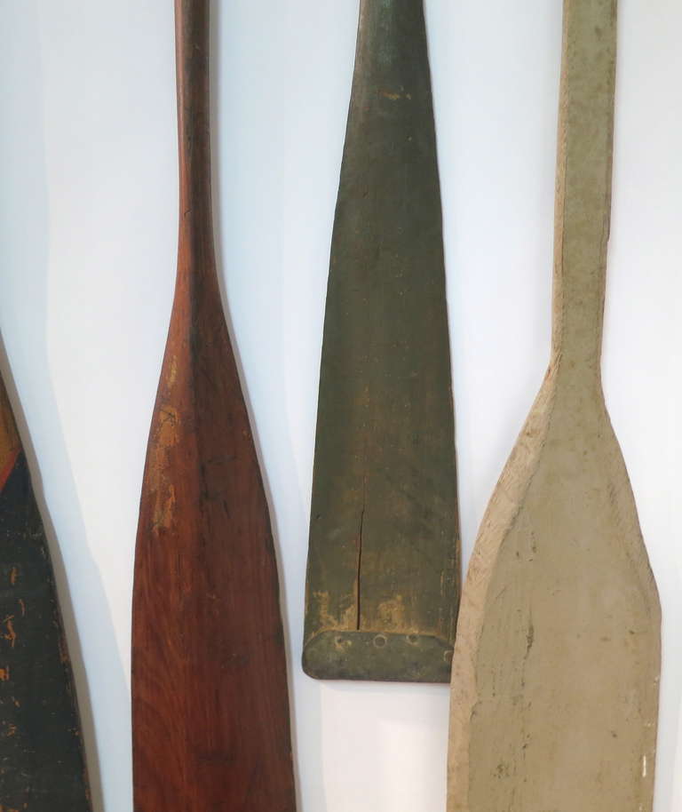 Collection of Oars In Good Condition In North Egremont, MA