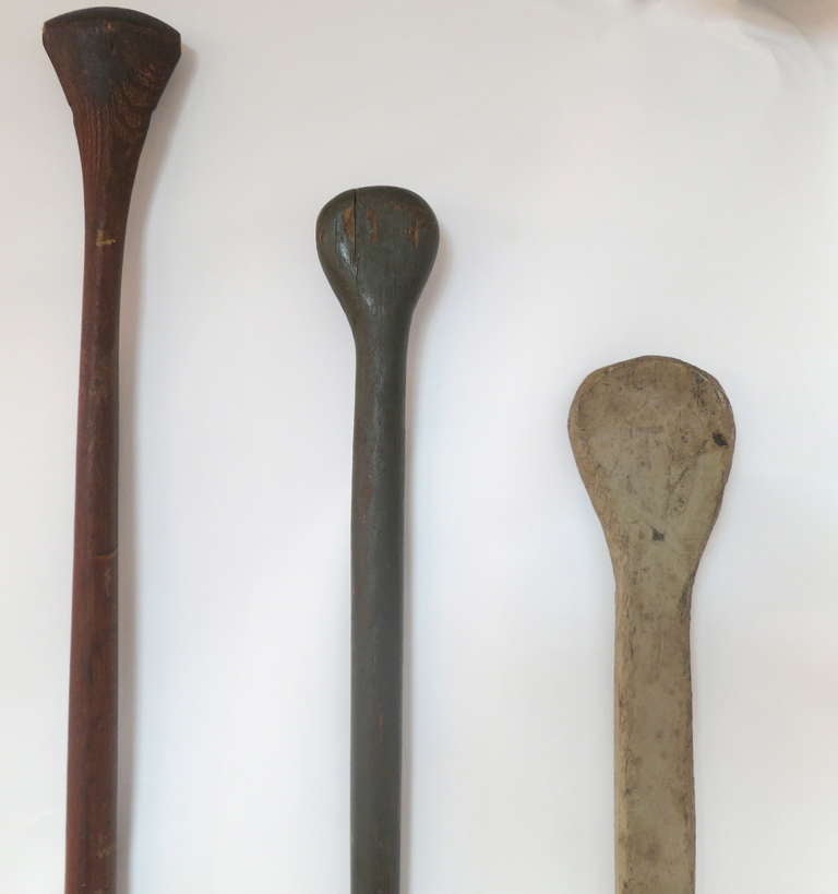 20th Century Collection of Oars