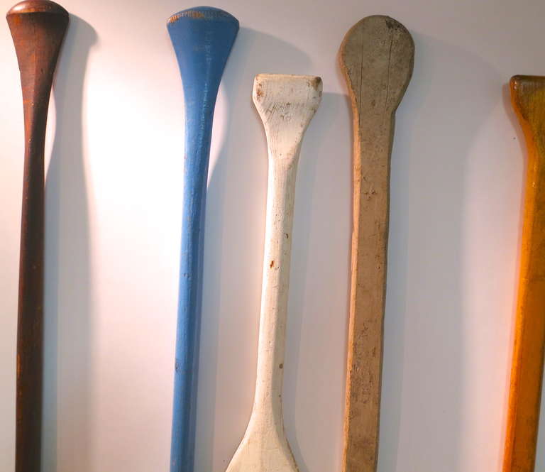 Collection of Oars 1