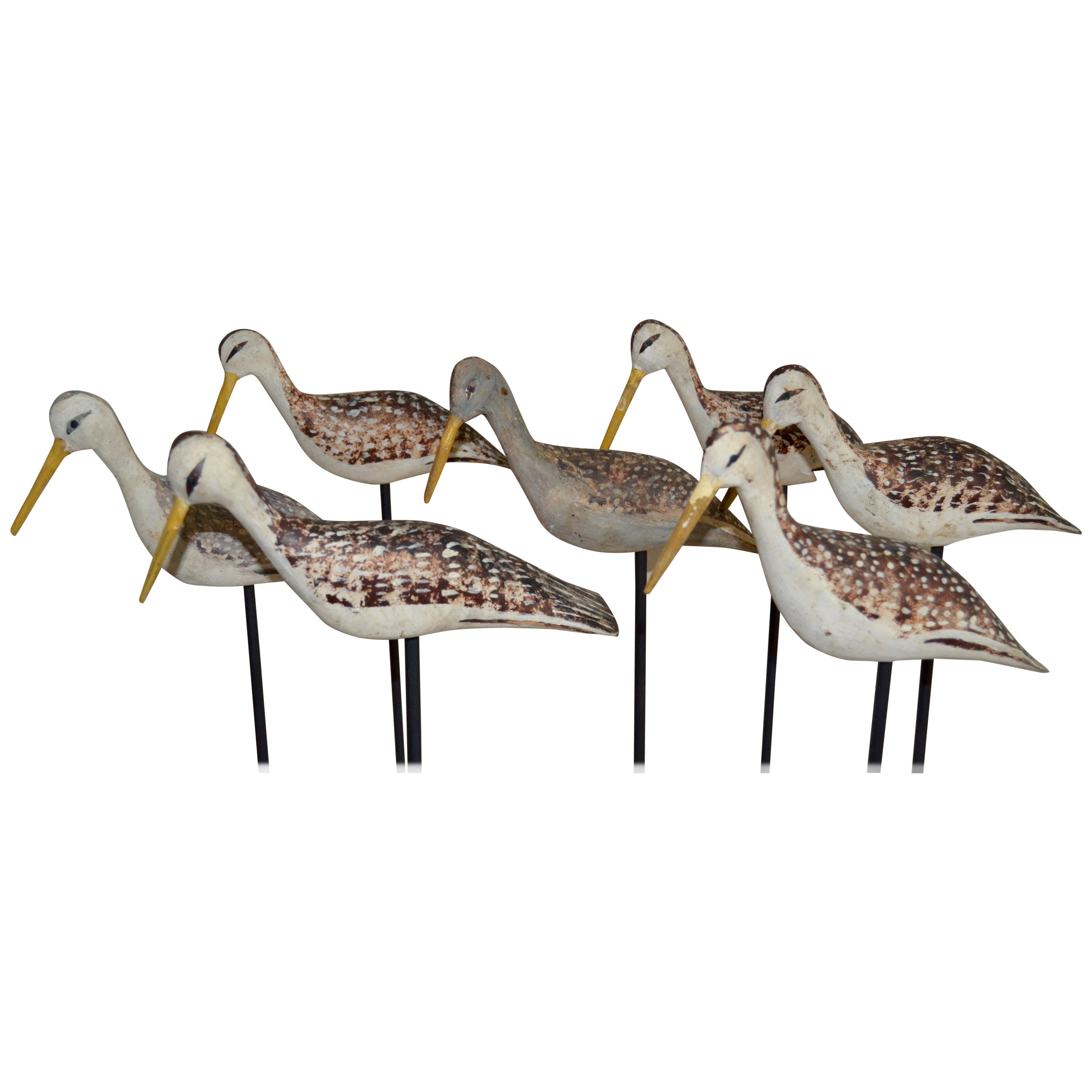 Rig of Shore Bird Decoys